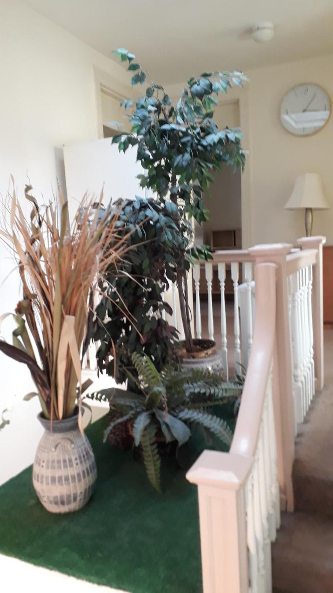 Pleasant Rooming House Washington Exterior foto